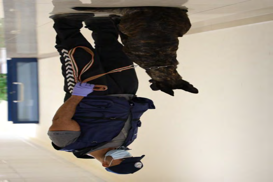 Figure 1: Simple barrier protective equipment is worn during every training session.