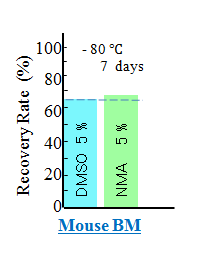 Figure 5: Post-thawing recovery rates of mouse BM cells cryopreserved with DMSO and NMA. After cryopreservation at -80°C, the cell recovery rates were 68.0% and 70.0% for DMSO and NMA, respectively. DMSO, dimethyl sulfoxide; NMA, N-methylacetamide After performing the viability assay and removing the cryopreservatives, we placed the mouse BM cells in the culture media M3434 (Methocult), which is optimized for the growth and enumeration of hematopoietic progenitor cells in colony-forming unit (CFU) assays of mouse BM cells. After two weeks, we thawed the cells and assessed the colony-forming abilities of the cells cryopreserved with DMSO and NMA (Figure 6). We evaluated colony- forming ability in terms of CFU-GM and CFU-GEMM, which refer to granulocyte-macrophage CFUs and granulocyte- erythrocyte-monocyte-megakaryocyte CFUs, respectively. Furthermore, we evaluated CFU- GM(NMA/DMSO) and CFU-GEMM(NMA/DMSO), which describe the colony-forming ability of cells cryopreserved with NMA relative to the ability of cells cryopreserved with DMSO (colony forming ability ratio). We found the colony-forming ability ratios to be BMCFU- GM (NMA/DMSO) = 1.25 and BMCFU-GEMM(NMA/DMSO) = 1.08 (Figure 6), where the superscript BM indicates mouse BM cells. Since all cells were placed on cultivation dishes regardless of whether they were alive or dead after thawing, the colony-forming ability ratios are affected by the viability ratio BMCFU (NMA/DMSO) = 1.03 determined immediately after thawing and complete removal of the cryopreservatives. By dividing the colony-forming ability ratio by the viability ratio, we obtained the colony- forming ability per cell that survives after thawing as BMsCFU-GM(NMA/DMSO) = BMCFU -GM(NMA/DMSO) / BMVr (NMA/DMSO), where the subscript s means per surviving cell (rectangles marked in dotted lines in Figure 6).