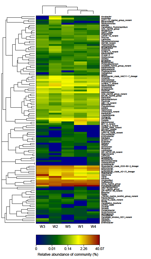 Figure 4: Heatmap based on the genus abundance similarity. Note: Double hierarchical dendrogram shows the bacterial distribution among 5 stages.