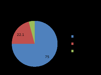 Figure 5: Patients’ satisfaction.
