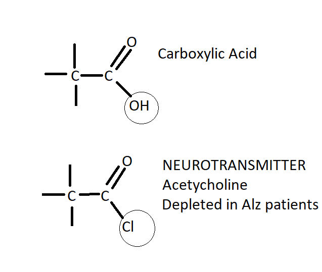 Figure 1: Proximity of carboxylic acid and acetylcholine.