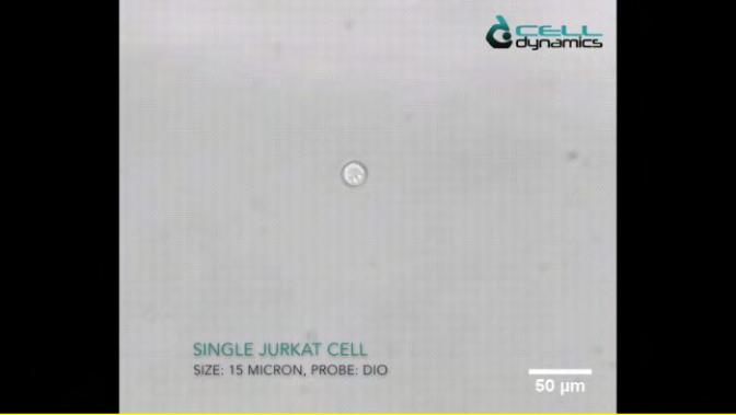 Figure 5: Single 3D live-cell.