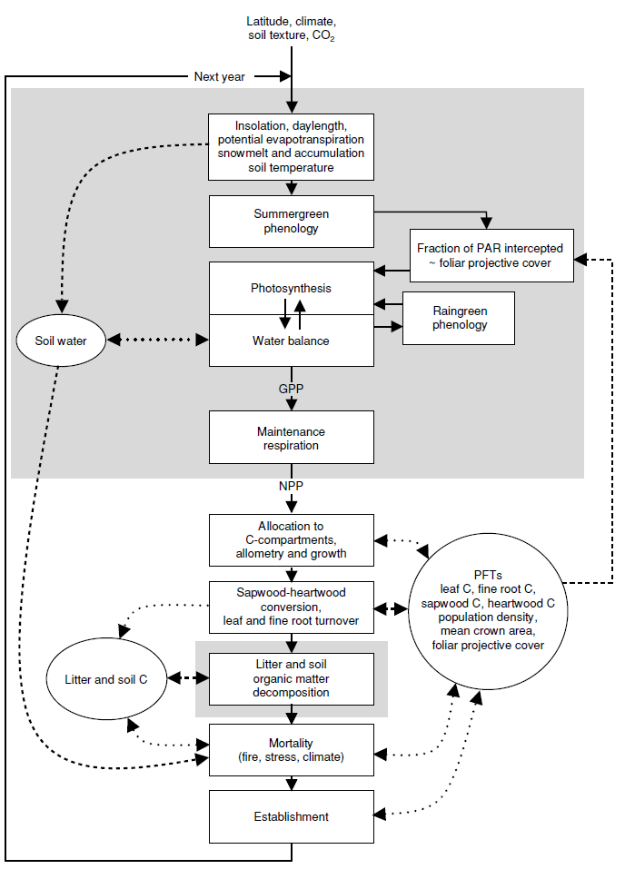 Figure 1: Dynamics/schematics of the LPJ model.