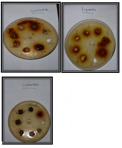 Figure 1: Agar diffusion test showing mean zone of inhibition.