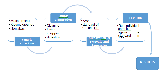 Figure 1: A stepwise Process flow diagram per operation.