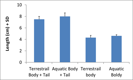 Figure 5: Changes in the pond. Growth of vegetation on which the newt eggs are laid, embryonic and larval stages, and tadpole development.
