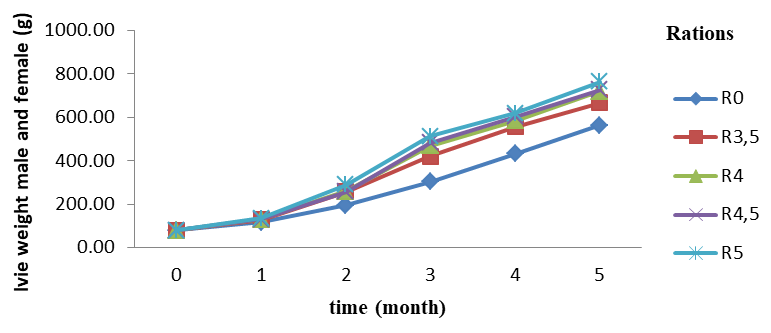 Figure 2: Monthly evolution of food consumption as a function of the incorporation rate of A. sativum in the growing ration of C. gariepinus. R0-R5: Rations containing respectively 0; 3.5; 4; 4.5 and 5% of Allium sativum.