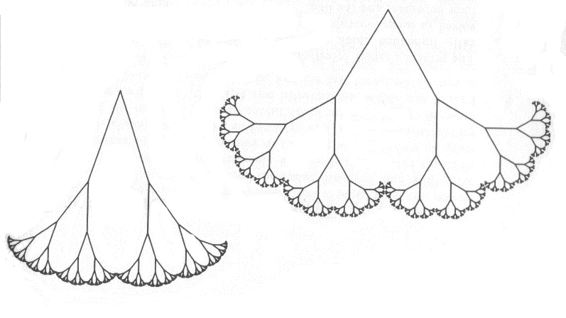 Figure 3: Self-similarity in the form of bifurcation patterns, resembling inflorescences of Umbelliferae, adapted from Mandelbrot’s Fractal Geometry of Nature [6].