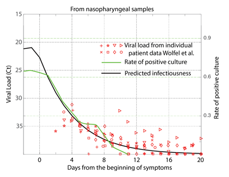 Figure 3: COVID-19 infectiousness kinetics. The predicted drop in infectiousness is compared to the viral shedding data measured as the cycle threshold (Ct) in the RT-PCR, and the rate of positive culture. The longitudinal viral shedding data gathered using nasopharyngeal swabs for at least 20 days after the onset of the symptoms8 was used in this analysis. The rate of a positive culture, defined as the (number of positive cultures)/ (number of positive + number of negative cultures) was obtained from the combined data on cultures from Wolfel, et al. [8] and Arons, et al. [12]. Our predictions show similar kinetic trends, as the positive culture rate and the nasal swab samples, unlike the saliva samples (Supplementary Figure 2).