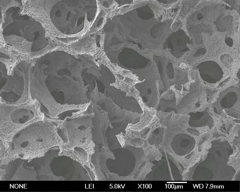 Figure 1: The diameter of the open cell in the fully open- cell microstructure could be observed in a range between 100µm and 500µm. The fully open-cell microstructure would provide high water permeability and high water absorption. The resulting PVA foam with higher water permeability than 85% was obtained. The high water absorption of the resulting biomaterial could be obtained (>13 times).