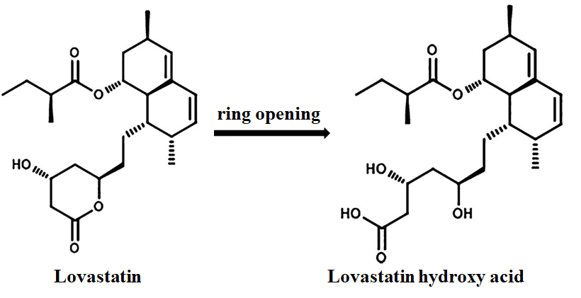 Figure 1: In vivo Conversion of lovastatin (inactive form) to lovastatin hydroxy acid (active form).