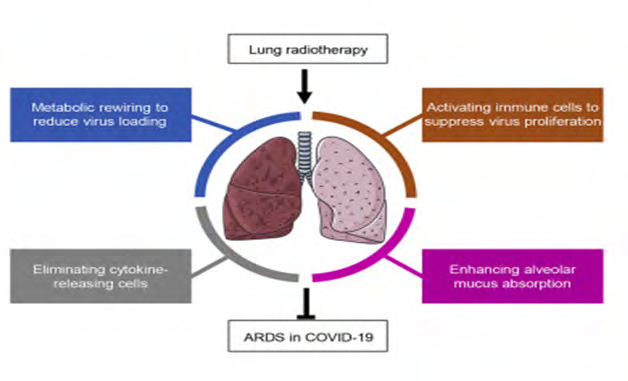 Figure 4: Coronavirus Induced Acute Respiratory Distress Syndrome.
