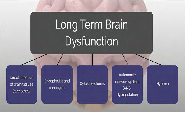 Figure 7: Long term brain dysfunction in patients with COVID-19.