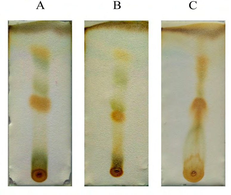 Figure 2: The thil layer chromatogram of five compounds from three different extracts.
