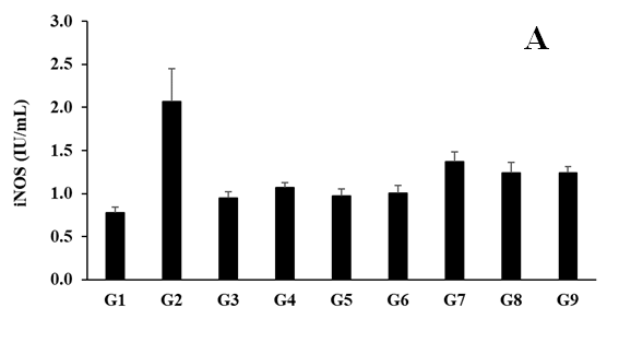 Figure 2: The data suggested that the disease control (L-NAME + high fat diet (HFD) + 0.5% CMC) group (G2) showed value of iNOS as 2.07 ± 0.38 IU/mL, which was increased by 166.13% as compared with the normal control (G1, 0.78 ± 0.07 IU/ mL). However, positive control (captopril + atorvastatin) treatment group (G3) showed decreased serum iNOS level by 54.10% i.e., 0.95 ± 0.07 IU/mL was compared to the G2. The level of iNOS in serum was decreased by 48.42%, 53.09%, 51.32%, 33.87%, 39.88%, and 40.02% in the G4 (L-NAME + HFD + untreated test formulation), G5 (L-NAME + HFD + the Biofield Energy Treated test formulation), G6 (L-NAME + HFD + Biofield Energy Treatment per se to animals from day -15), G7 (L-NAME + HFD + the Biofield Energy Treated test formulation from day -15), G8 (L-NAME + HFD + Biofield Energy Treatment per se plus the Biofield Energy Treated test formulation from day -15), and G9 (L-NAME + HFD + Biofield Energy Treatment per se animals plus the untreated test formulation) groups, respectively, as compared to the disease control group (G2). Further, the level of iNOS was reduced by 9.24% and 5.83% in the G5 and G6 groups, respectively as compared to the untreated test formulation (G4) group (Figure 2A).