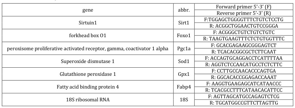 Figure 1: Induction of obese mice by 8weeks of HFD. A. Change of body weight. B. Hepatic fatty acid metabolism analyzed on expression of p-AMPK and p-ACC. HFD: high-fat diet, Control: control diet. Data shown are the mean ± SEM.