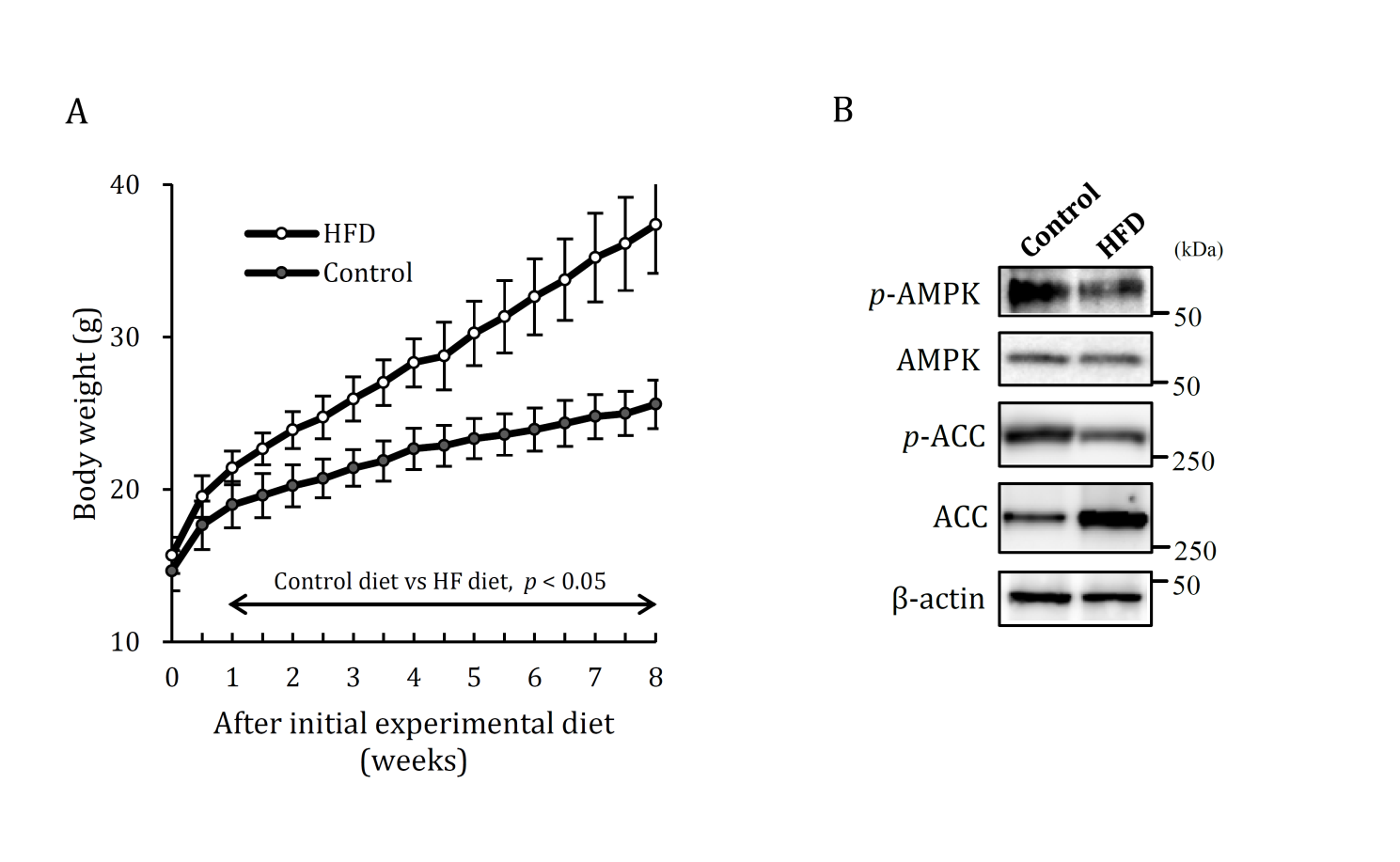 Figure 2: Change rate of body weight in obese and non-obese mice fed LC diet. A. Non-obese mice. B. Obese mice. Control: control diet, LC: low-carbohydrate diet EATs: epididymal adipose tissues. Data shown are the mean ± SEM. *p < 0.05 vs Control by Student’s-test.