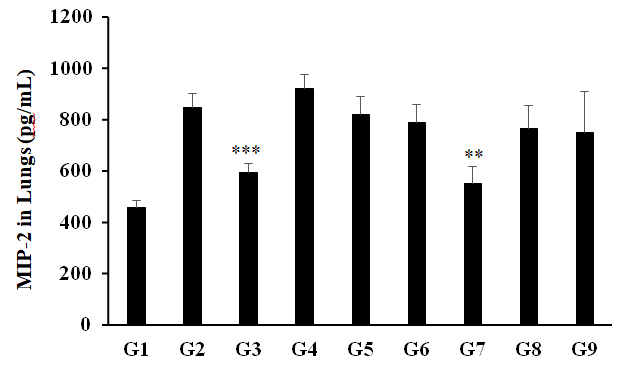 Figure 6: Expression the level of lungs macrophage inflammatory protein-2 (MIP-2) after administration of Biofield Treated the test formulation and Biofield Healing/Blessing _per se_ to Sprague Dawley rats. G1 as normal control (vehicle, 0.5% w/v CMC-Na); G2 as disease control (Cecal Slurry, LPS and _E. coli_ + 0.5% CMC- Na); G3 as reference item(Cecal Slurry, LPS and _E. coli_+ Dexamethasone); G4 includes Cecal Slurry, LPS and _E. coli_ along with untreated test formulation; G5 as Cecal Slurry, LPS and _E. coli_ along with the Biofield Energy Treated test formulation; G6 group includes Cecal Slurry, LPS and _E. coli_ along with Biofield Energy Treatment _per se_ to animals from day -15; G7 as Cecal Slurry, LPS and _E. coli_ + Biofield Energy Treated test formulation from day -15; G8 group includes Cecal Slurry, LPS and _E. coli_ + Biofield Energy Treatment _per se_+ Biofield Energy Treated test formulation from day -15, and G9 group denoted Cecal Slurry, LPS and _E. coli_ along with Biofield Energy Treatment _per se_ animals plus the untreated test formulation. Values are presented as mean ± SEM (n=6-9). **_p_≤0.01 and ***_p_≤0.001 _vs._ G4.