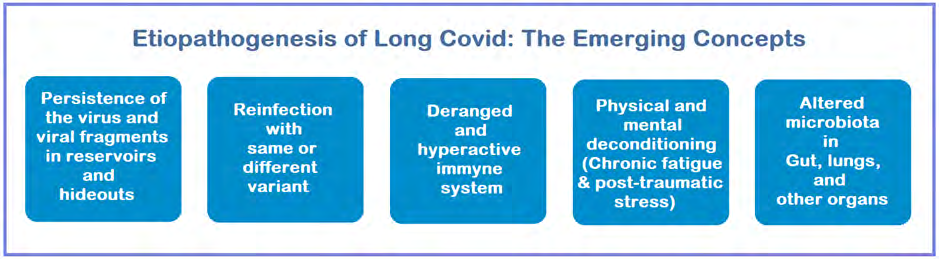 Figure 2: The emerging concepts for etiopathogenesis of Long COVID – the damage to tissues and organs occurs due to direct toxicity of the virus and viral fragments, injury to organs and vasculature due to inflammatory processes and hyperimmune response, dysregulated RAS activity, hypercoagulability, and altered microbiome.
