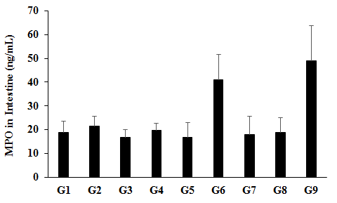 Figure 1: The data suggested that the disease control (Cecal Slurry, LPS and _E._ _coli_ + 0.5% CMC-Na) + 0.5% CMC) group (G2) showed value of MPO as 21.41 ± 4.27 ng/mL, which was increased by 14.28% as compared with the normal control (G1, 18.74 ± 4.93 ng/ mL). However, positive control (Dexamethasone) treatment (G3) showed the level of MPO in intestine _i.e._ 16.72 ± 3.38 ng/mL, which was decreased by 21.92% as compared to the G2 group. The level of MPO in intestine was decreased by 8.05%, 21.16%, 15.9%, and 11.95% in the G4 (Cecal Slurry, LPS and _E. coli_ along with untreated test formulation); G5 (Cecal Slurry, LPS and _E. coli_ along with the Biofield Energy Treated test formulation); G7 (Cecal Slurry, LPS and _E. coli_ along with the Biofield Energy Treated test formulation from day -15); and G8 (Cecal Slurry, LPS and _E. coli_ along with Biofield Energy Treatment _per se_ plus the Biofield Energy Treated test formulation from day -15) groups, respectively as compared to the disease control (G2) group. On the other hand, the level of MPO was reduced by 14.27%, 8.55%, and 4.26% in the G5, G7, and G8 groups, respectively as compared to the untreated test formulation (G4) group. Myeloperoxidase (MPO) is an important enzyme with powerful pro-oxidative and proinflammatory properties and considered as a marker between inflammation processes and oxidative stress [32,33]. Overall, in this experiment the Biofield Energy Treated test formulation reduced the level of MPO in the intestinal tissues, which could be helpful for the management of oxidative stress and inflammatory conditions.