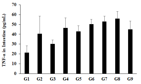 Figure 4: The disease control (Cecal Slurry, LPS and _E. coli_ + 0.5% CMC- Na) group (G2) showed value of TNF-α as 40.39 ± 18.02 pg/ mL, which was increased by 89.94% as compared with the normal control (G1, 21.27 ± 6.90 pg/mL). Further, the positive control (Dexamethasone) treatment (G3) showed decreased TNF-α level by 25.58% _i.e.,_ 30.06 ± 4.06 pg/mL as compared to the G2 group. The level of TNF-α was decreased by 7.81% and 2.9% in the G5 (Cecal Slurry, LPS and _E. coli_ along with the Biofield Energy Treated test formulation) and G9 (Cecal Slurry, LPS and _E. coli_ along with Biofield Energy Treatment _per se_ animals plus the untreated test formulation) groups, respectively, as compared to the untreated test formulation group (G2).