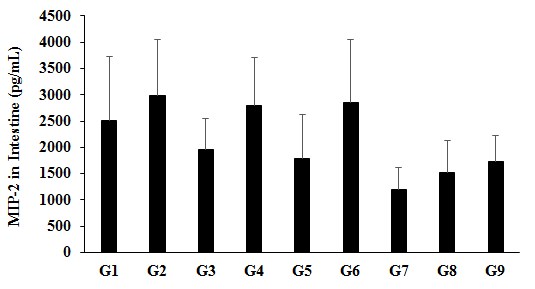 Figure 6: Expression the level of intestine macrophage inflammatory protein-2 (MIP-2) in Sprague Dawley rats after administration of Biofield Treated test formulation and Biofield Energy Healing to the animals per se. G1 as normal control (vehicle, 0.5% w/v CMC-Na); G2 as disease control (Cecal Slurry, LPS and _E. coli_ + 0.5% CMC-Na); G3 as reference item (Cecal Slurry, LPS and _E. coli_ + Dexamethasone); G4 includes Cecal Slurry, LPS and _E. coli_ along with untreated test formulation; G5 as Cecal Slurry, LPS and _E. coli_ along with the Biofield Energy Treated test formulation; G6 group includes Cecal Slurry, LPS and _E._ _coli_ along with Biofield Energy Treatment _per se_ to animals from day -15; G7 as Cecal Slurry, LPS and _E. coli_ + Biofield Energy Treated test formulation from day -15; G8 group includes Cecal Slurry, LPS and _E. coli_ + Biofield Energy Treatment _per se_ + Biofield Energy Treated test formulation from day -15, and G9 group denoted Cecal Slurry, LPS and _E. coli_ along with Biofield Energy Treatment _per se_ animals plus the untreated test formulation. Values are presented as mean ± SEM (n=6-9).