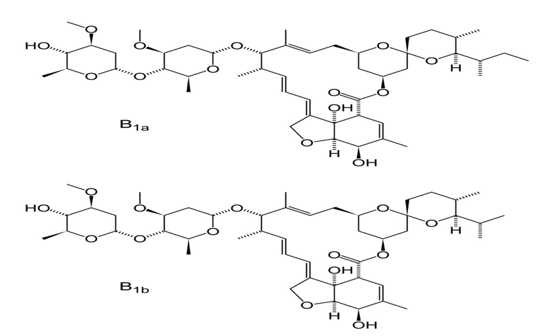 Figure 1: Chemical structure of IVM.