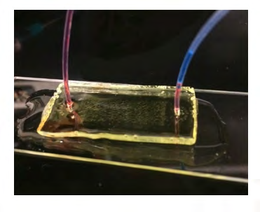 Figure 3: Thus, the integrity of the bonding and device sealing was confirmed in the presence of both water and oil phases. It illustrated that the bonding scheme was proper for the device and could be relied on to withstand the injected phases. Figure 4 shows the three phases present in the microfluidic device.