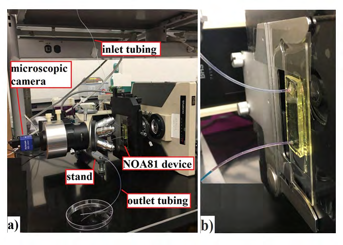 Figure 6: Overall apparatus a) configuration of the vertical set-up of the microscope and b) Microfluidic NOA81 device.