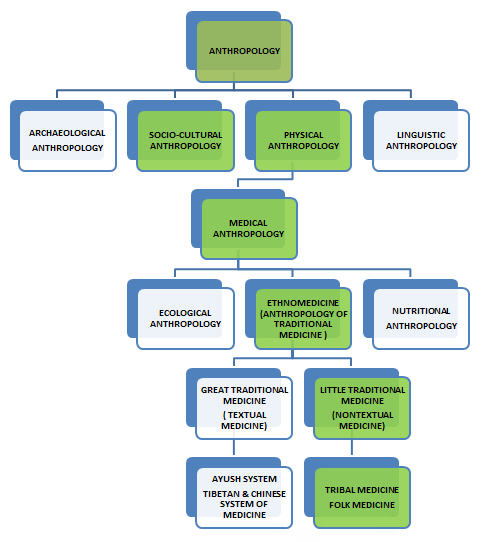 Figure 1: Schematic Explanation of Relationship between Anthropology and Ethnomedicine.