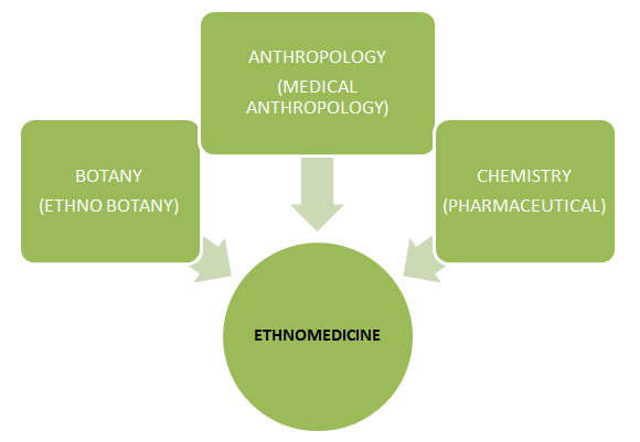 Figure 2: Multidisciplinary Relationship of Ethnomedicine.