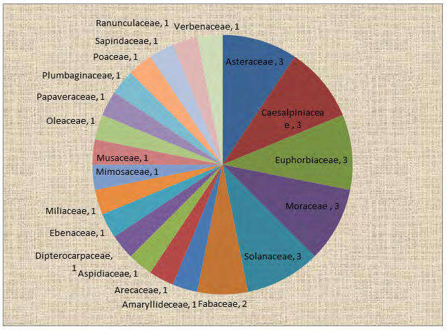 Figure 8: Diseases having Higher Number of Plants.