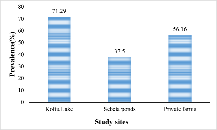 Figure 1: Prevalence of Trichodina spp. on the O. niloticus in the three study sites (n=302).