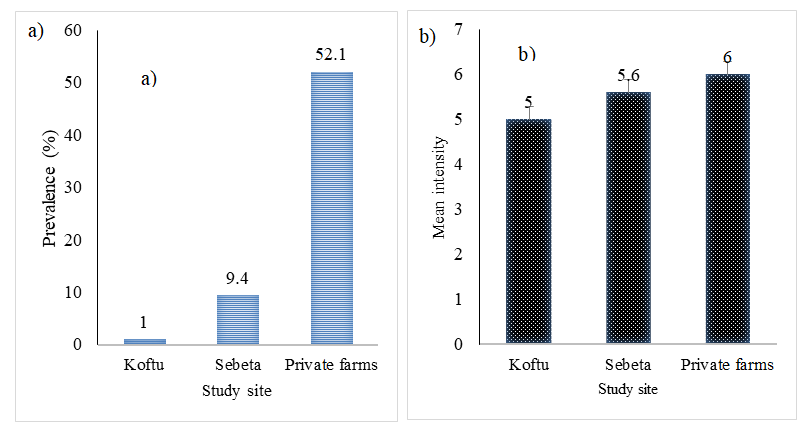 Figure 5: The a) prevalence (P) and b) mean intensity (MI) of Euclinostomum sp. from Koftu Lake (n=101), Sebeta ponds (n=128) and private farms (n=73).