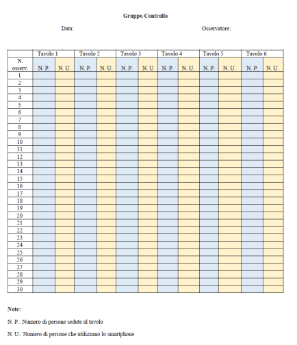 Figure 4: The image shows the grid used in the experimental phase.