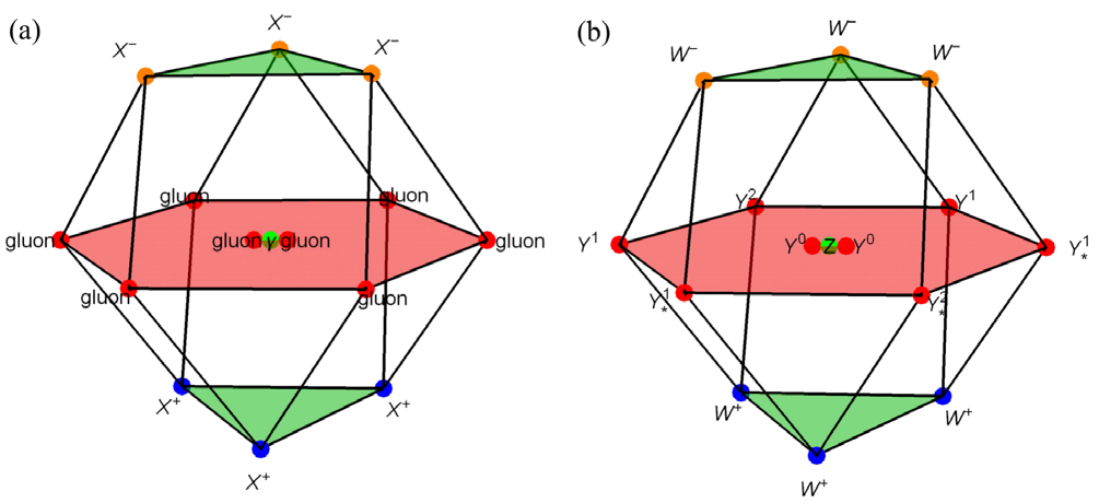 Figure 3: Weight diagram of ( ) 4 SU adjoint representation and corresponding gauge bosons. The decomposition of ( ) 4 SU