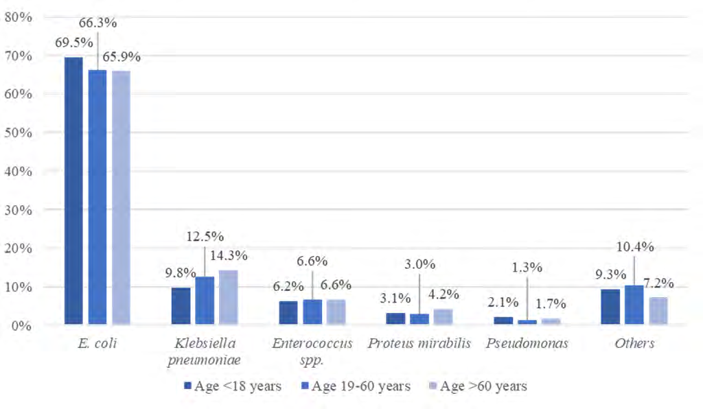 Figure 3: Age wise distribution of urine culture isolates Other important urine isolates included _S. aureus,_ _Citrobacter koseri, Morganella morganii, Acinetobacter_ _baumanii, Enterobacter spp., Streptococci_ and _Serratia_ _marcescens_. For simplification of the analysis, they were clubbed together in the ‘others’ category.