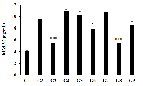 Figure 5: The disease control (Cecal Slurry, LPS and E. coli + 0.5% CMC-Na) group (G2) showed value of MMP- 2 as 9.49 ± 0.48 ng/mL, which was increased by 135.41% as compared with the normal control (G1, 4.03 ± 0.21 ng/mL). Further, the positive control (Dexamethasone) treatment (G3) showed a significant (p≤0.001) decreased serum MMP- 2 level by 42.68% i.e., 5.44 ± 0.41 ng/mL as compared to the G2 group. The level of MMP-2 was significantly decreased by 17.35% (p≤0.05), 42.98% (p≤0.001), and 10.41% in the G6 (Cecal Slurry, LPS and E. coli + Biofield Treatment/Blessing directly to animals from day -15); G8 (Cecal Slurry, LPS and E. coli along with Biofield Energy Treatment per se + Biofield Energy Treated test formulation from day -15), and G9 (Cecal Slurry, LPS and E. coli along with Biofield Energy Treatment per se animals plus the untreated test formulation) groups, respectively, as compared to the disease control group (G2). Similarly, MMP-2 level was decreased by 6.36%, 28.43%, 1.41%, 50.62%, and 22.43% in the G5, G6, G7, G8, and G9 groups, respectively as compared to the untreated test formulation (G4). Matrix metalloproteinases as modulators of inflammation and its expression was increased in the inflammatory cells and modulates various inflammatory mediators like cytokines and chemokines in the inflamed tissues that regulate the movement of leukocytes at sites of infection or injury [43]. Overall, in this experiment the Biofield Energy Treated test formulation and Biofield Energy Treatment per se significantly reduced the level of MMP- 2, which could regulate the inflammatory conditions and simultaneously reduce the risks of inflammatory diseases.