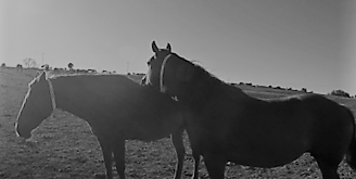 Figure 1: An example of the behavior “Head over back”.