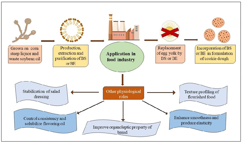 Figure 3: Potential application of biosurfactant (BS) or bioemulsifier (BE) in food industry.