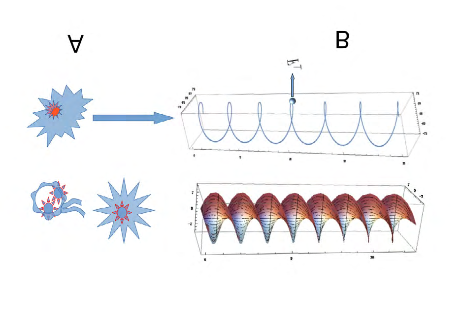 Figure 1: Here centrifugal forces can drive the pathogen to the surface of the fibre where it is taken up by the evanescent field of UVC propagation through them.