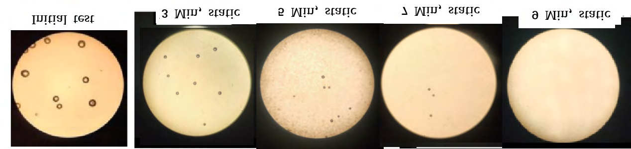 Figure 8: The inactivation of fungus from the yeast solution in the static regime under the direct UVC exposition of a small quantity of water 0:15L during the time intervals: 3 Min, 5.0 Min, 7 Min, 9 Min. It is observed that at the beginning with 3Min of exposition the fungus colonies are deactivated.