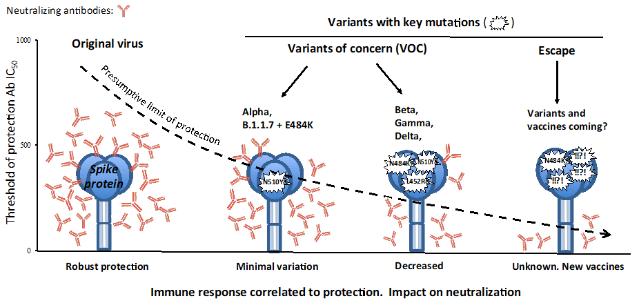 Figure 1: SARS-CoV-2 variants and current impact of vaccines.