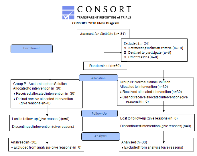 Figure 1: Consort Flow diagram illustrating the steps of enrollment, allocation, follow-up and analysis.
