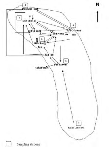 Figure 2: DST was the station observed the mostvisiting frequency by _A. purpurea_ (65%) follow with HPT 60%, DST 50%, DMT 15% within 20 days. The pathway for foraging within Bung Khong Long Lake of _A. purpurea_ was observed for 3 patterns Figure 2. **_Pattern 1:_** the bird from HPT moved to small patches of floating plants nearby for a while then moved ahead to BCS and sometimes to DST. Then, the bird moved further to DMT or returned to the floating plants nearby HPT. It moved back to HPT before DSW in the evening of the day. **_Pattern 2:_** the bird started their fly from DSW and directed to HPT and after that, it followed the pattern 1. **_Pattern 3:_** the bird started from the floating plant in between HPT and DSW namely Lad Taae which was excluded as a sampling station in this study. This pattern the bird took quite long distance directed to the north of the lake at DST or DMT and then followed the same pathway of pattern 1. During the observation period for 20 days, we did not find any _A. purpurea_ at NEY.