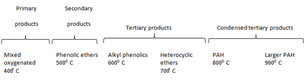 Figure 1: Scheme of biomass gasification [6].