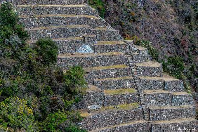 Figure 4: The Archaeological Park of Choquequirao, shows multiple two-story buildings with niches inside, accompanied by hydraulic systems for the use of the houses and you can see a system of cultivation platforms near the main square. FUENTE: Tomado de: https://www.google.com/search?- q=choquequirao+cusco&source=lnms&tbm=isch&sa=X&v ed=2ahUKEwiZ2f2v97zmAhWeDrkGHY_XCY8Q_AUoAXoE CBAQAw&biw=1920&bih=920#imgrc=oDJ4qwheyLIZdM The A°P° of CHOQ also has a great system of platforms, a characteristic of the Inca settlements, which helped in the agricultural use on the slopes of the hills, and which currently, to the sight of tourists, seem floors carpeted by vegetation in the area, see Figures 4 & 5.