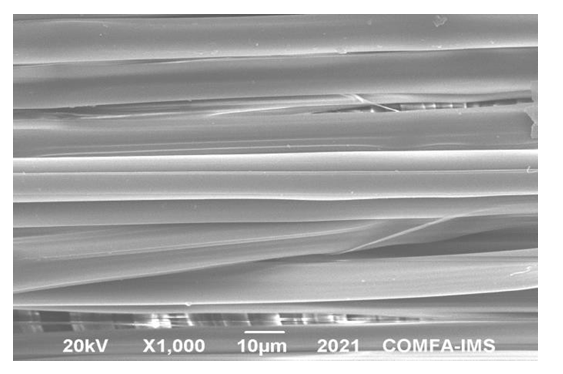Figure 5: SEM images of (a) the control silk fabric, (b) silk fabric dyeing the extract of areca nut.