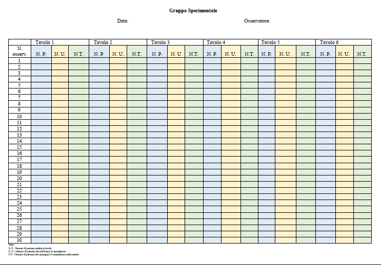 Figure 2: The image shows the grid used in the experimental phase.