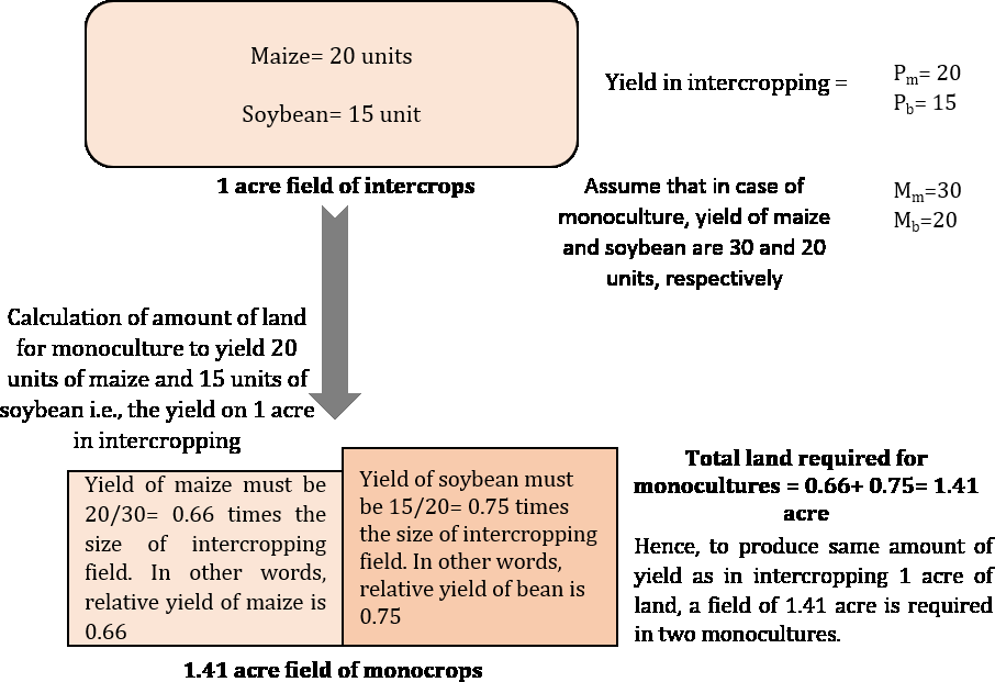 Figure 3: Schematic diagram showing the required land area for maize-soybean intercrop and their respective monocrops to produce equal amount of yield.